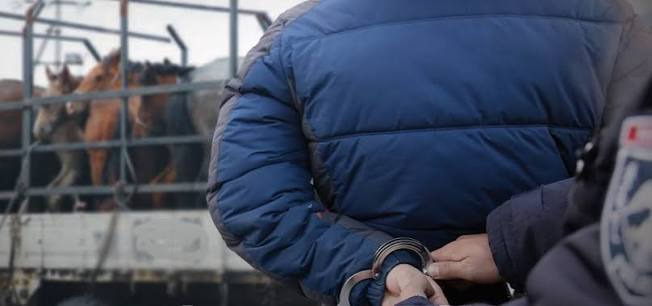 Малын хулгай бол эрүүгийн гэмт хэрэг